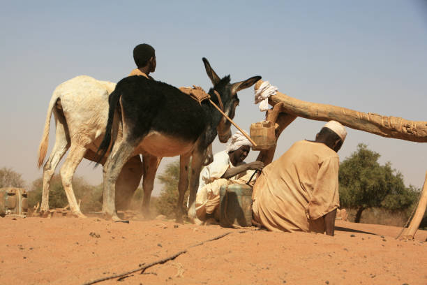 hombres sudaneses que compran agua de un pozo profundo frente al sitio arqueológico abandonado de naqa, en el norte de sudán. - african descent african culture drum history fotografías e imágenes de stock