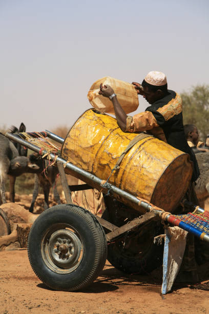 hombre sudanés que busca agua de un pozo profundo frente al sitio arqueológico abandonado de naqa, en el norte de sudán. - african descent african culture drum history fotografías e imágenes de stock