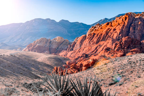 roter felsen canyon sonnenschein - nevada stock-fotos und bilder