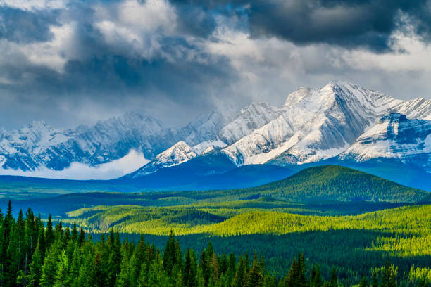 parque provincial de kananaskis em alberta canadá - kananaskis country - fotografias e filmes do acervo