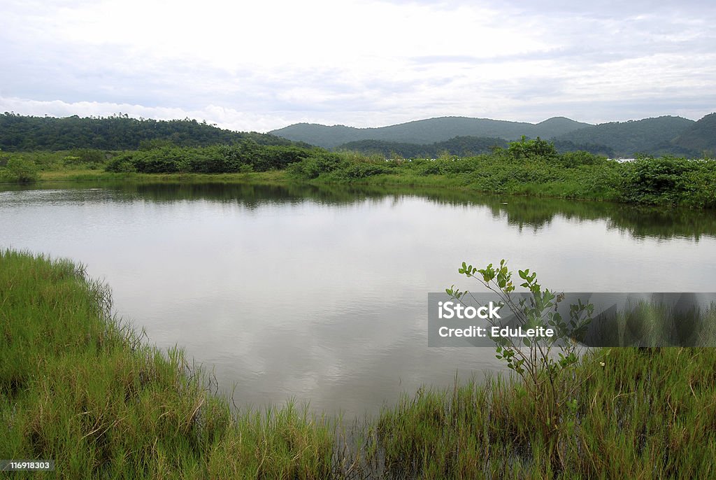 Pure Natur - Lizenzfrei Anhöhe Stock-Foto