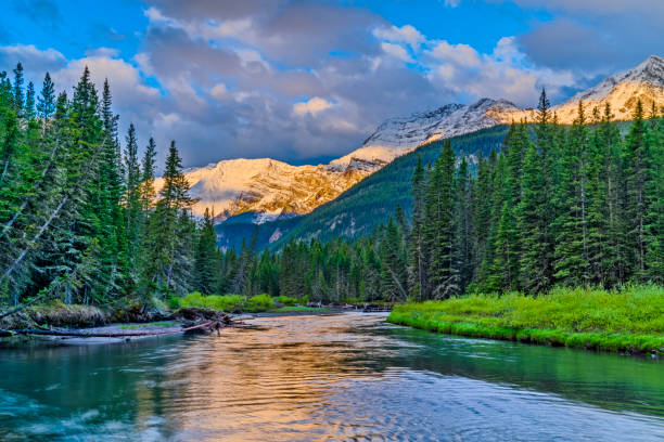 istock Kananaskis Provincial Park in Alberta Canada 1169183966