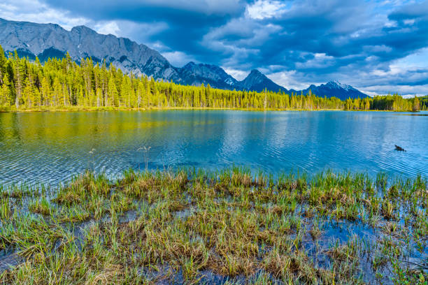 istock Kananaskis Provincial Park in Alberta Canada 1169186552