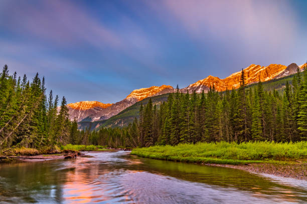 istock Kananaskis Provincial Park in Alberta Canada 1169187893