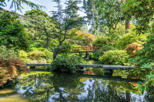 istock Pond And Walking Bridge 4 1169191061