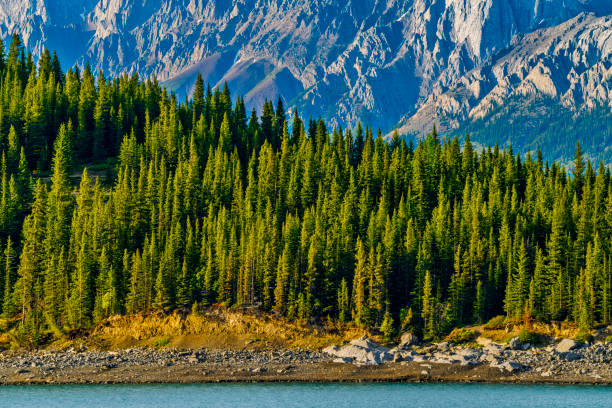 Upper Kananaskis Lake in the Canadian Rockies