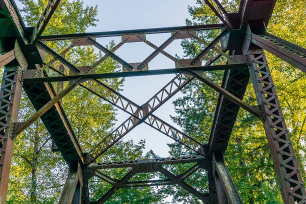 istock Cedar River Trail Bridge Details 4 1169191165