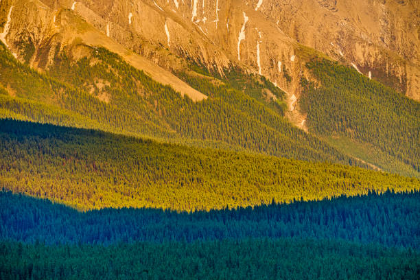 istock Kananaskis Provincial Park in Alberta Canada 1169192105
