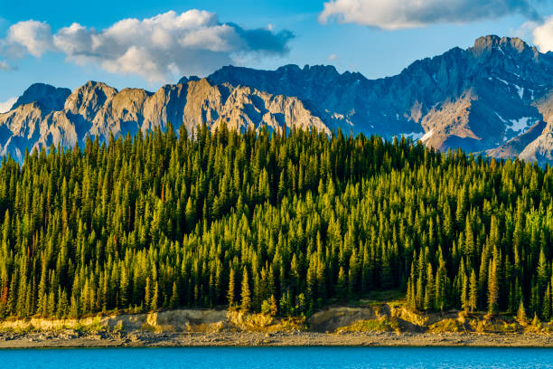 View of turquoise alpine lake lago di Anterselva in Italian Dolomites in south Tyrol with a forest mountain in the background