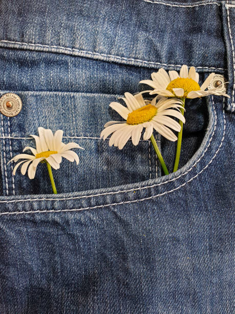 istock Daisy flowers in jeans pocket 1169193786