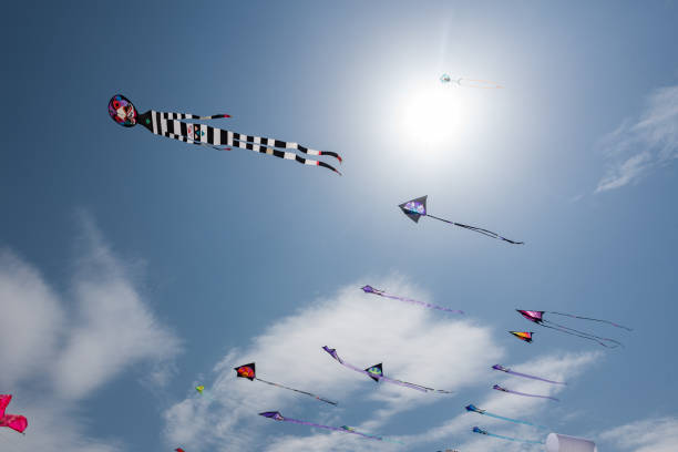 istock Kites with blue sky and white clouds 1169194469
