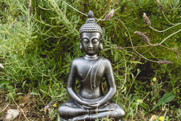 gautama buddha medita in giardino - buddha thailand spirituality wisdom foto e immagini stock