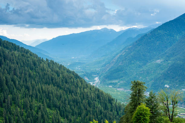 istock Beautiful View of Himalayas mountains and deodar tree 1169197086