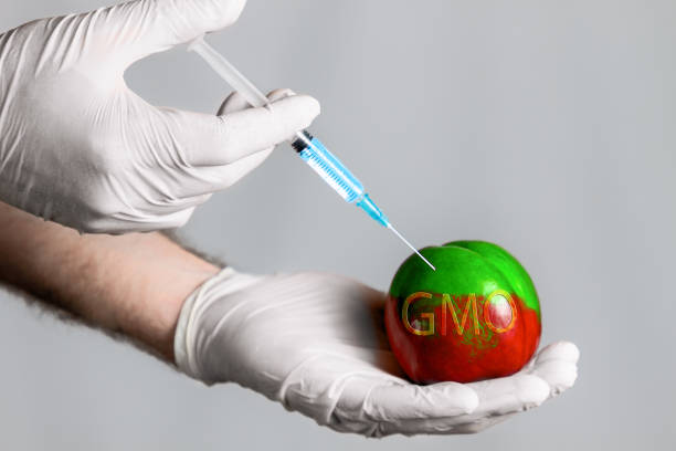 장갑을 낀 남자는 복숭아 열매에 의료 주사 화학 물질을 만들어 색이 변합니다. gmo 제품의 개념, 야채와 과일 - injecting healthy eating laboratory dna 뉴스 사진 이미지