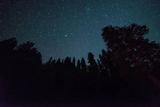 istock night sky with star on top of mountain surrounded by forest 1169198937