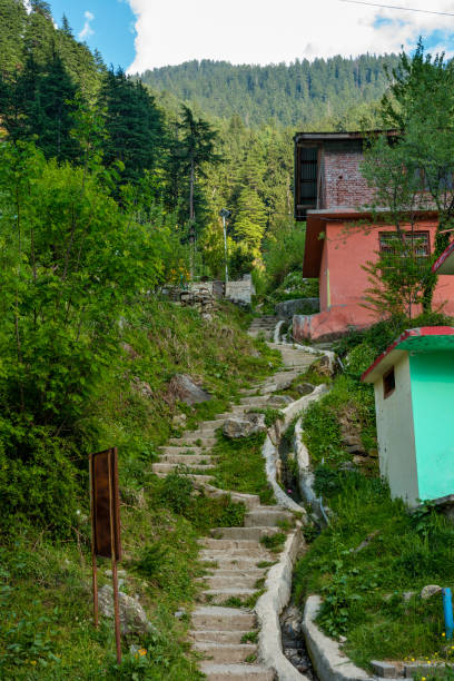 Rustic Himalayan Village in himachal Manali Rustic Himalayan Village in himachal Manali - cedrus deodara stock pictures, royalty-free photos & images
