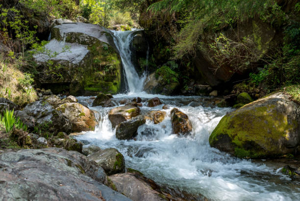 istock waterfall in the wild attracted many tourists to visit 1169201846