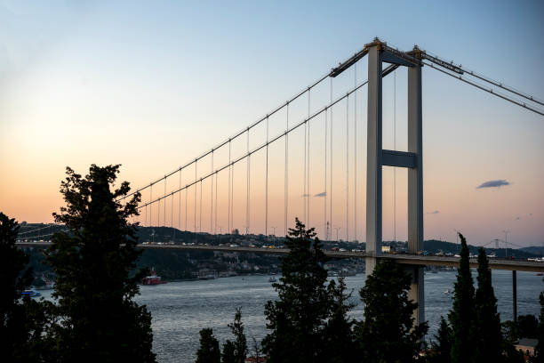 istock Istanbul bosphorus bridge long exposure at night 1169202565