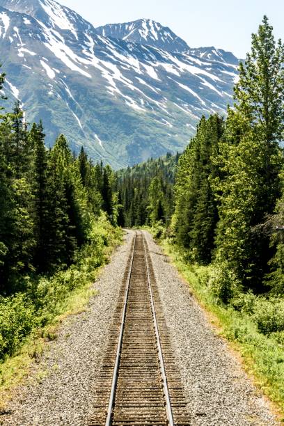 istock Alaska Rail Road to the wilderness 1169202764