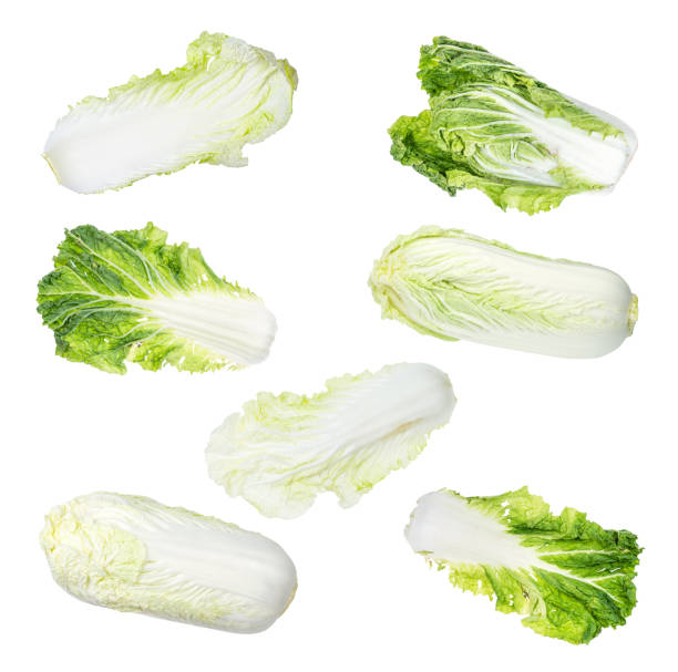 istock set of various napa cabbage cut out on white 1169204730