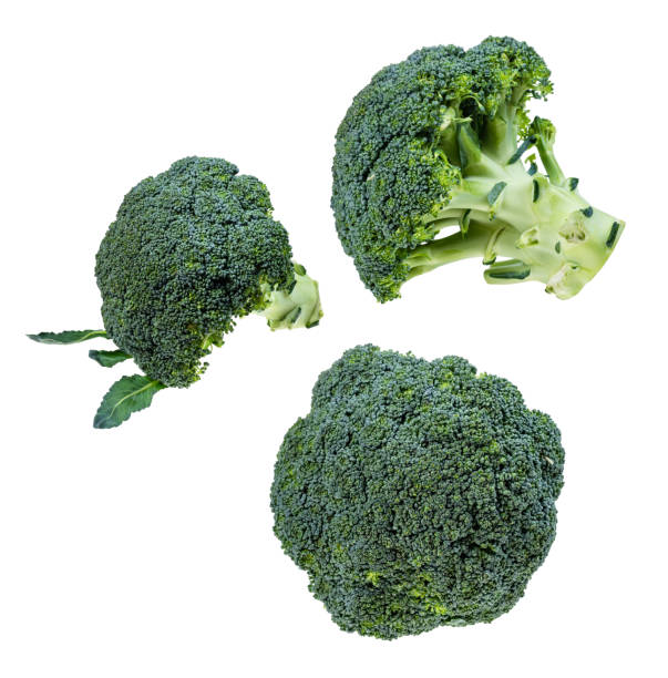 istock set of fresh broccoli heads cut out on white 1169204737