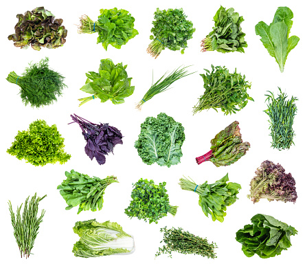 set of various fresh bundles of garden greens cut out on white background