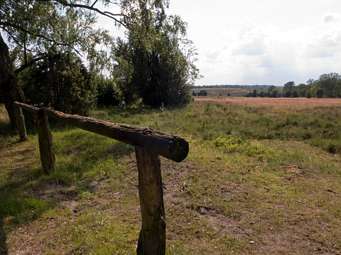 Hike through the Lüneburg Heath on the Heidschnucken trail from Undeloh to Niederhaverbeck through beautiful heath landscape.