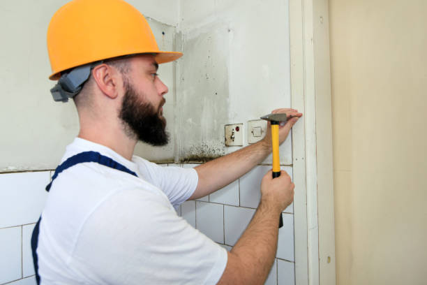istock Construction worker and handyman working on renovation work. Builder with yellow hammer strikes and nails a nail into wooden wall of kitchen door at construction site. Apartment renovation concept. 1169206079