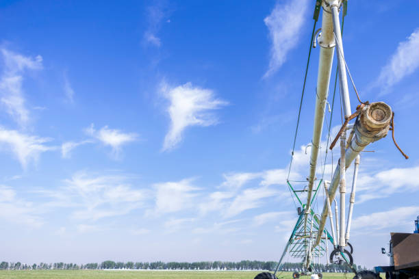 istock rain drop irrigation system to save water and growing green fields in Saudi Arabia 1169212328