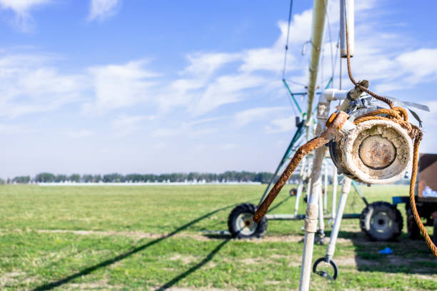 rain drop irrigation system to save water and growing green fields in Saudi Arabia
