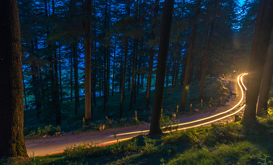 Curving light trails through a wooded road in himalayas
