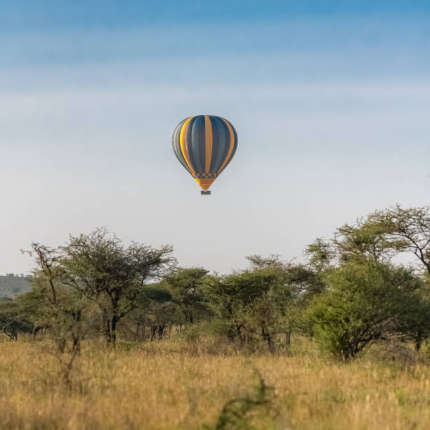 istock Air balloon above the savannah 1169212607