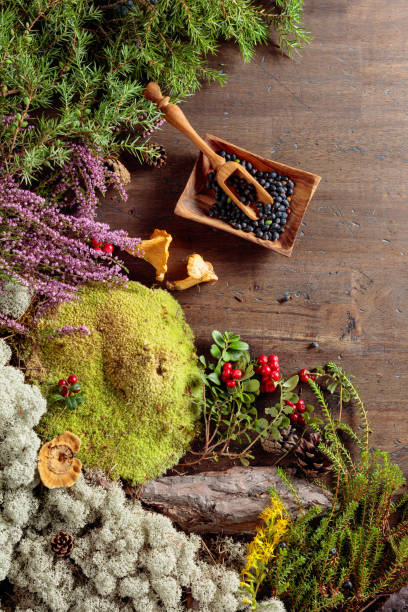 istock Juniper berries on a old wooden background with different Northern plants and berries. 1169212873