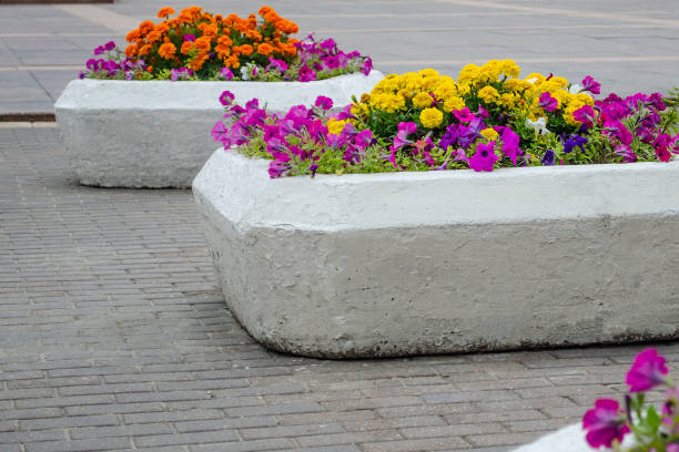 istock stone flowerpot with flowers outside 1169214814