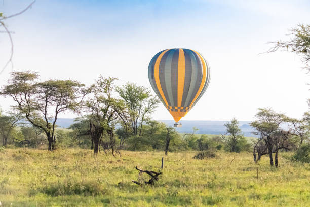 istock Air balloon above the savannah 1169215944