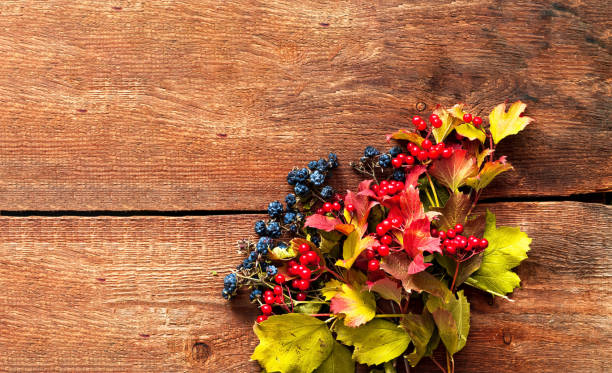 viburnum and blackberry berries on wooden background. close-up - raspberry table wood autumn imagens e fotografias de stock