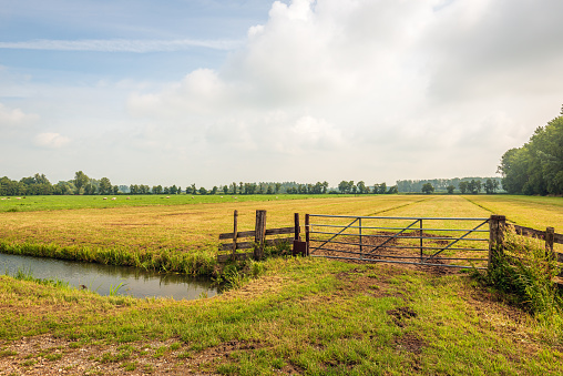 Typical Dutch rural polder landscape with an empty  meadow and in the foreground a ditch and an iron gate. It is a cloudy day in the summer season.