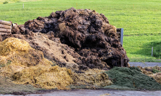 manure heap in front of a green meadow - scented non urban scene spring dirt imagens e fotografias de stock