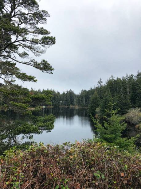 istock Oregon lake view with forest 1169226386