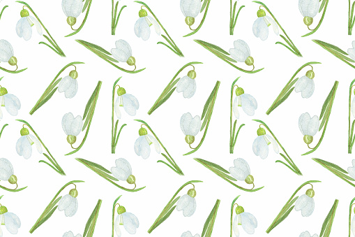 Snowdrop Repeat Pattern Snowdrop Seamless Pattern 3 Stock Illustration - Download Image Now ...