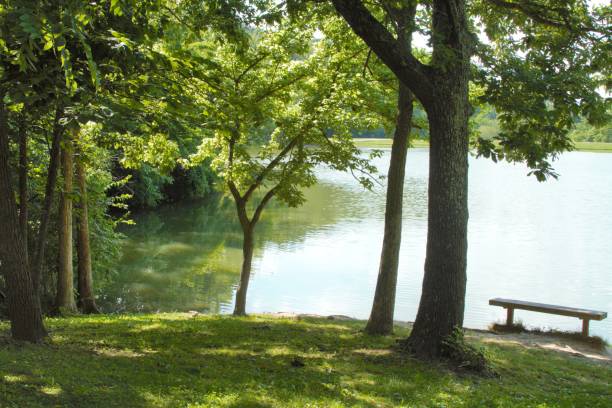 istock Kentucky Lake 1169227927