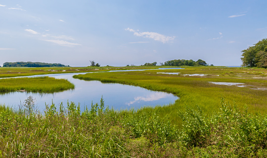 A tidal creek flows through a salt marsh as it heads toward Little Narragansett Bay at the Barn Island Wildlife Management Area in Pawcatuck, Connecticut