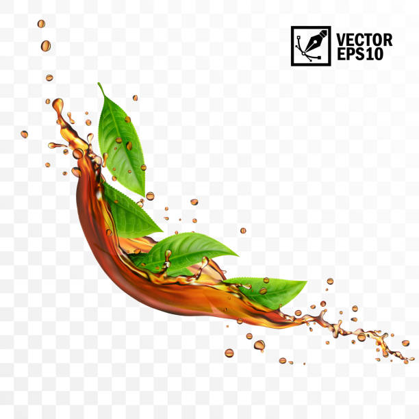 realistische transparente isolierte vektor fallen spritzer von tee mit blättern, editierbare handgefertigte mesh - tea stock-grafiken, -clipart, -cartoons und -symbole