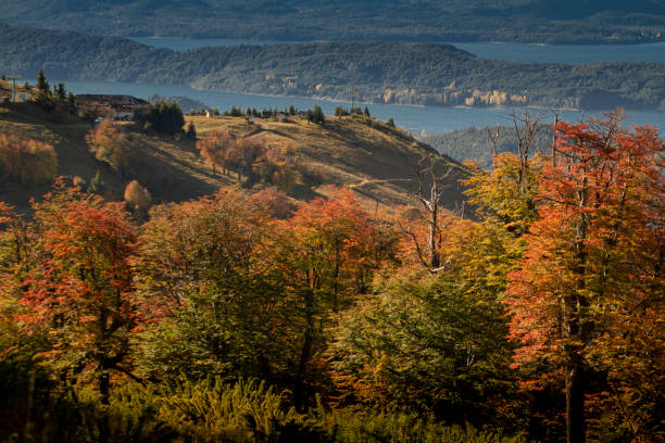 istock Cathedral in autumn. 1169232586