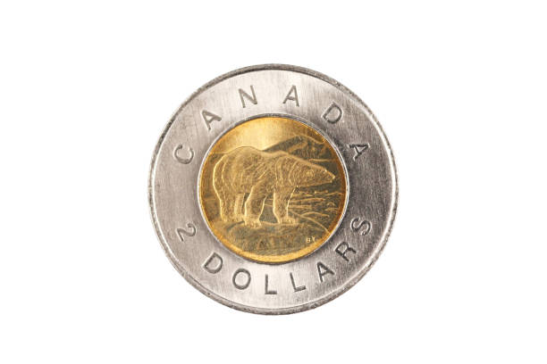 una moneta canadese da due dollari isolata su sfondo bianco - banconota del dollaro canadese foto e immagini stock