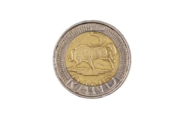 istock A South African five rand coin isolated on a white background 1169233832