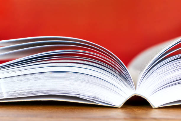 istock Open book with visible pages against a red background 1169233998