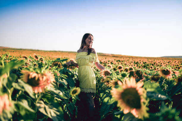 My Life Through The Sunflower Fields