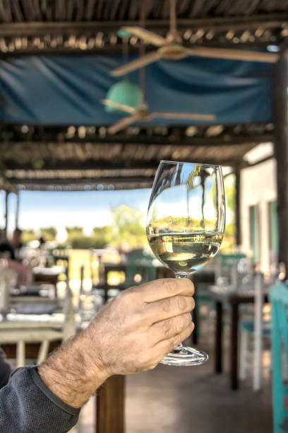 человеческая рука, держащая бокал с белым вином, как праздник. - wine cork antioxidant wineglass autumn стоковые фото и изображения