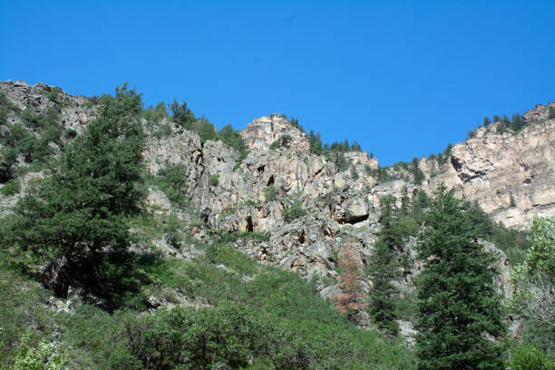 istock Grizzly Creek Canyon 1169236142